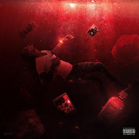 ALLIGATOR SOCKS cover art