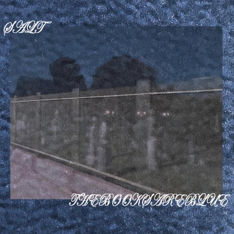 Oblivion cover art
