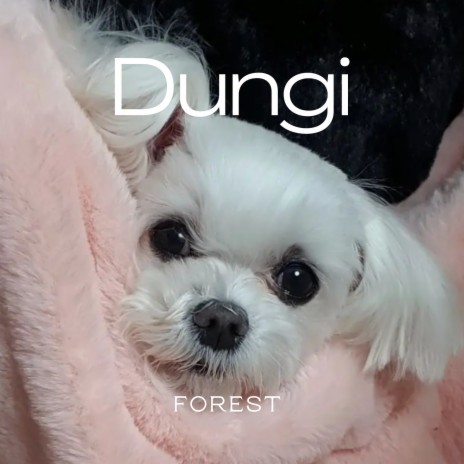 Dungi cover art