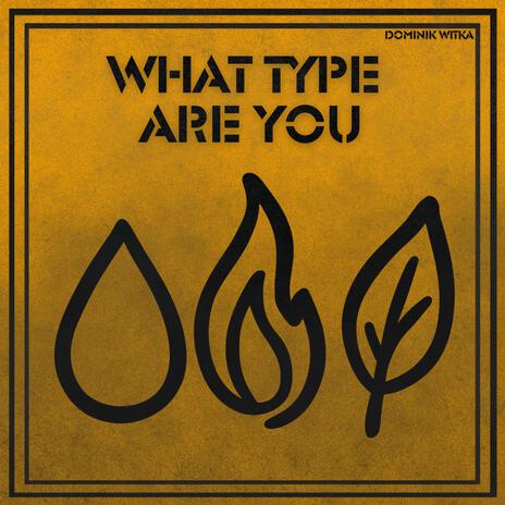 What Type Are You cover art