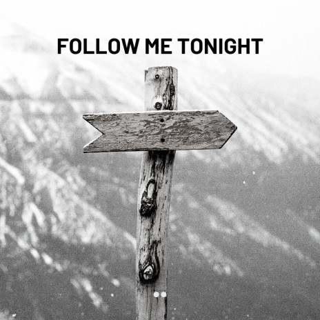Follow Me Tonight cover art
