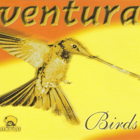 Birds (Video Cut) (Remastered 2020) cover art