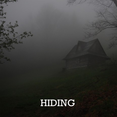 Hiding cover art