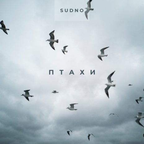 Птахи cover art