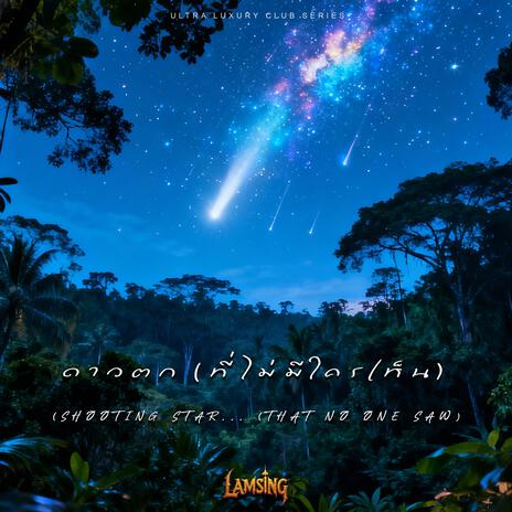 ดาวตก (ที่ไม่มีใครเห็น) (Progressive House) cover art