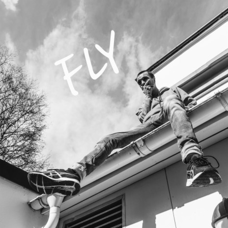 Fly