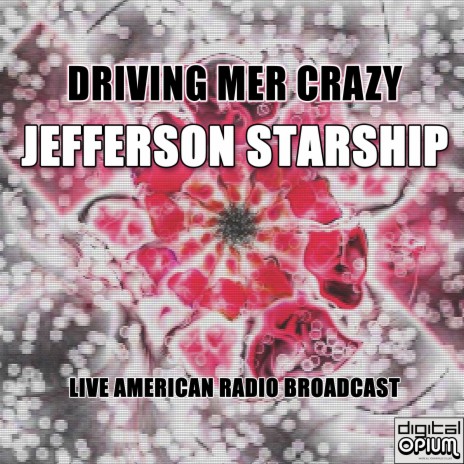 You're Driving Me Crazy cover art