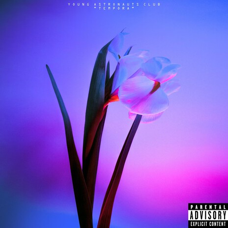 Null (Version XIII) cover art