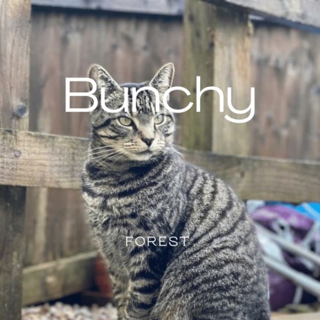 Bunchy cover art
