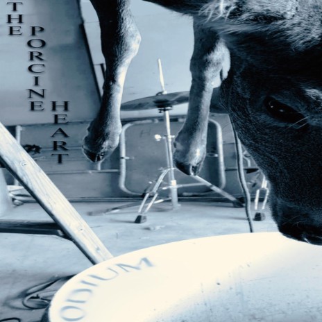 Utensils cover art