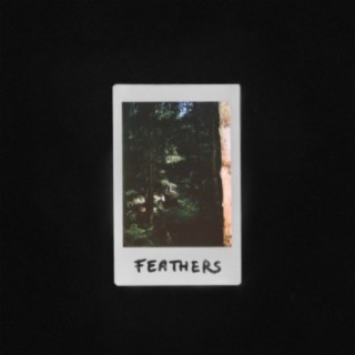 Feathers ft. Lain cover art