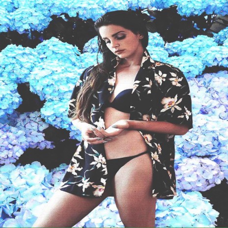 Blue Hydrangeas cover art