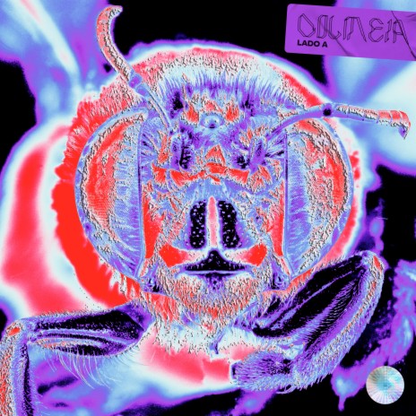 Lugar Algum cover art