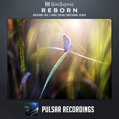Reborn (Original Mix) cover art