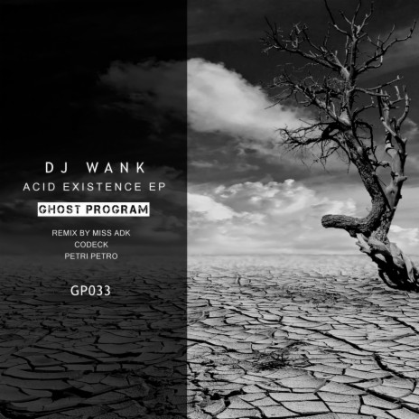 Alone In The Acid (Original Mix) cover art