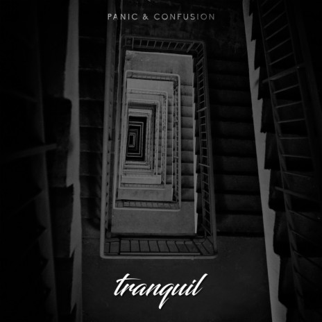 Panic & Confusion cover art