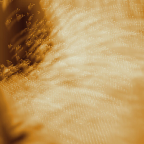 Maniquin