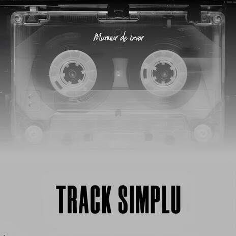 Track Simplu cover art