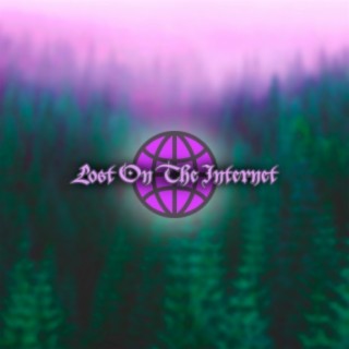 Lost On The Internet