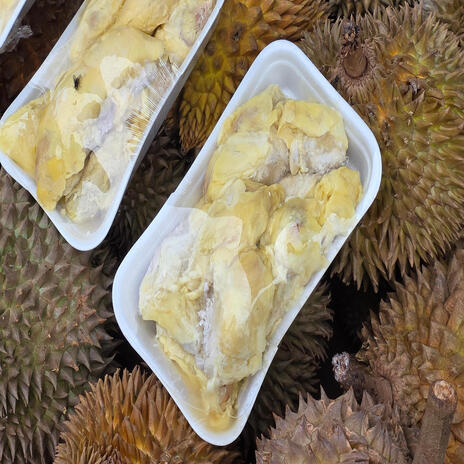 Durian cover art