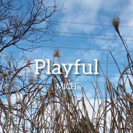 Playful cover art