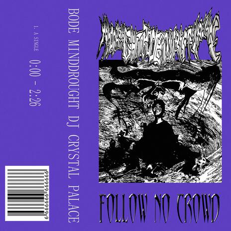 FOLLOW NO CROWD cover art