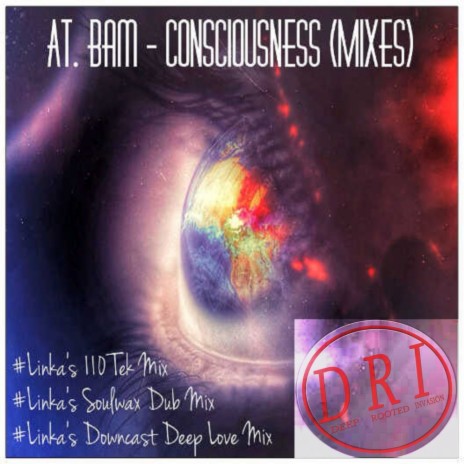 Consciousness (Linka's 110 Tek Mix) cover art