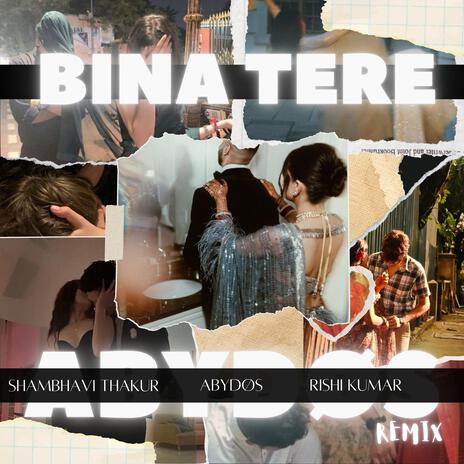 Bina tere cover art