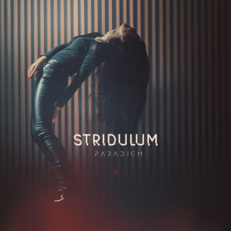 Refugium cover art
