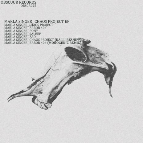 Chaos Project cover art