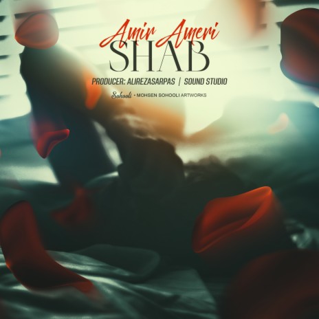 Shab cover art