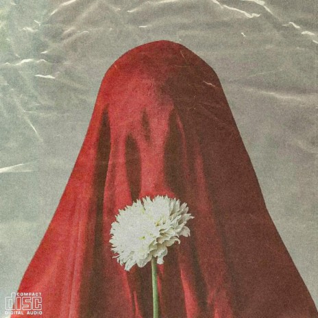 Nbdy cover art