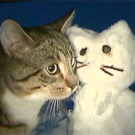 me, you, and winter cover art