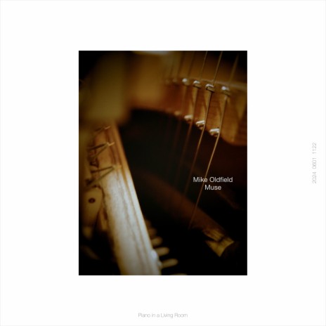 Muse (Guitars) ft. Piano in a Living Room cover art