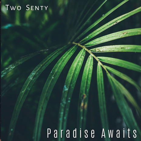 Happy cover art