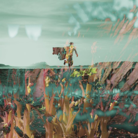 Palpable cover art