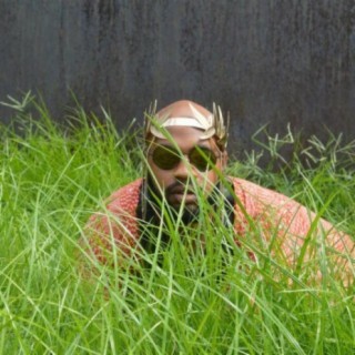DDare Bionic