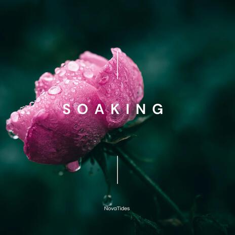 Soaking