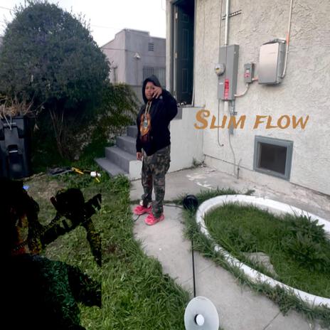 Slim Flow cover art