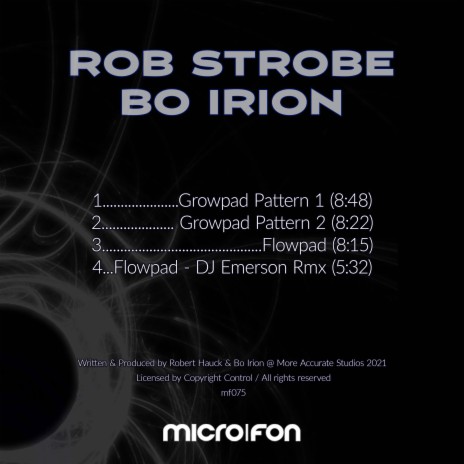 Flowpad (DJ Emerson Remix) ft. Bo Irion cover art