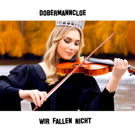 Wir fallen Nicht cover art