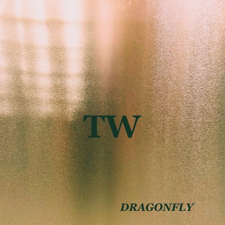Dragonfly cover art