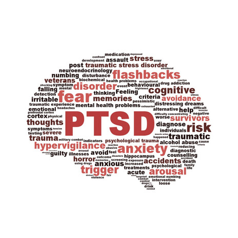 PTSD, ECHOES IN THE BODY cover art