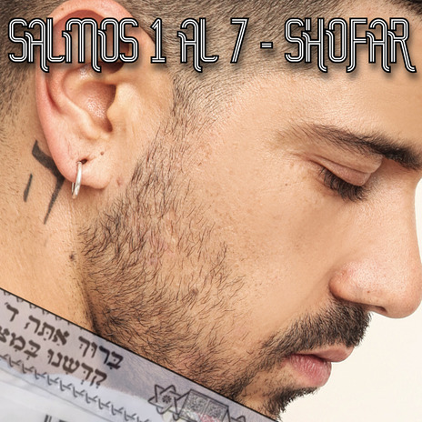 Salmos 1 al 7 cover art