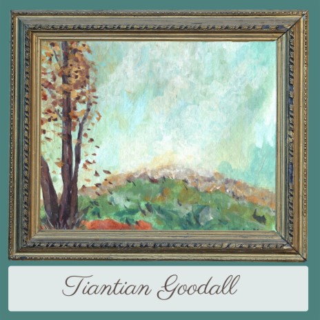Wings of a Dream cover art