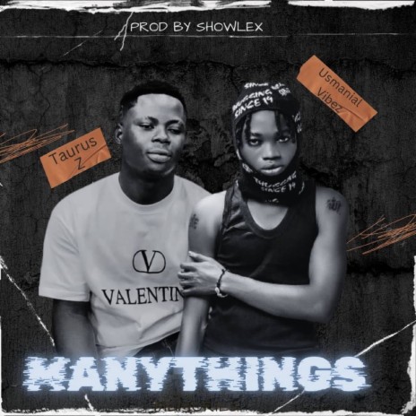 Many Things ft. Usmanial Vibez cover art