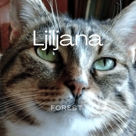 Ljiljana cover art