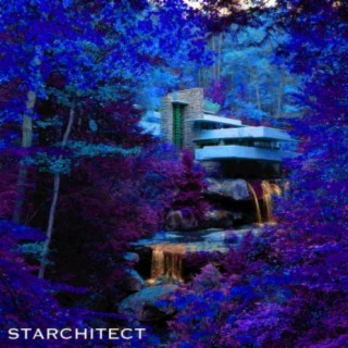 Starchitect