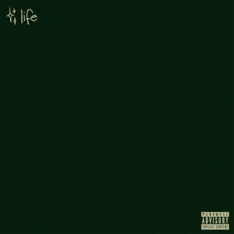 Life cover art