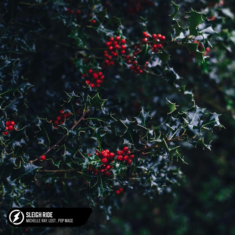 Sleigh Ride (Acoustic) ft. lost. & Pop Mage cover art